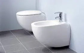 Bidet1[1]-136181-57087.webp